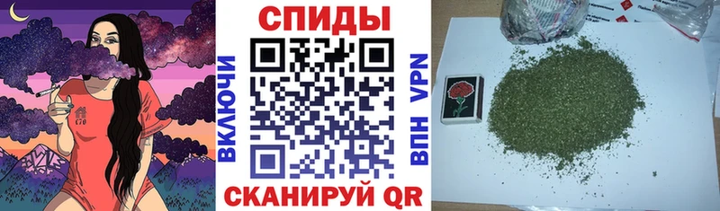 ссылка на мегу   Новое Девяткино  БУТИРАТ буратино 