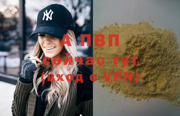 прущие грибы Липки
