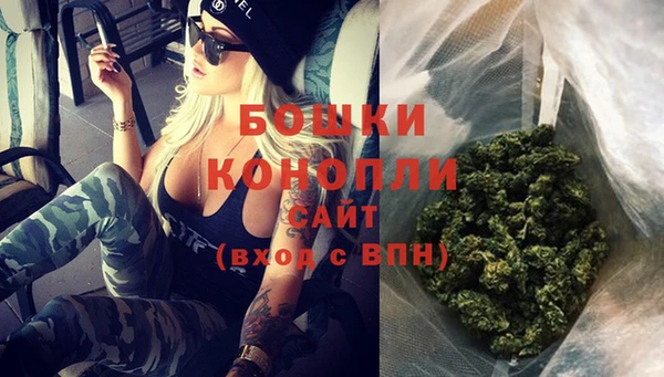 прущие грибы Липки