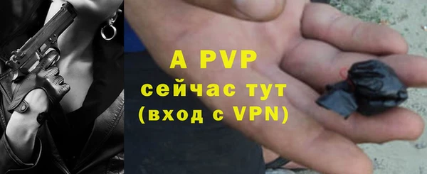прущие грибы Липки