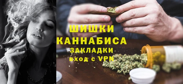 прущие грибы Липки