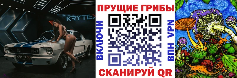 omg ССЫЛКА  Новое Девяткино  Псилоцибиновые грибы ЛСД 