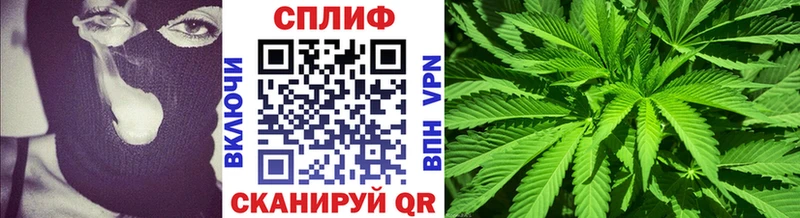 Каннабис сатива  Новое Девяткино 